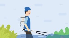 foto setrum ikan ilustrasi, diambil dari internet.