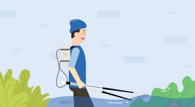 foto setrum ikan ilustrasi, diambil dari internet.