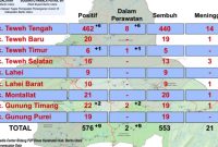 Data terbaru penyebaran Covid-19 di Barito Utara.