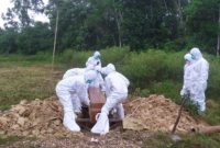 Foto. Pemakaman salah pasien Covid-19 di Muara Teweh