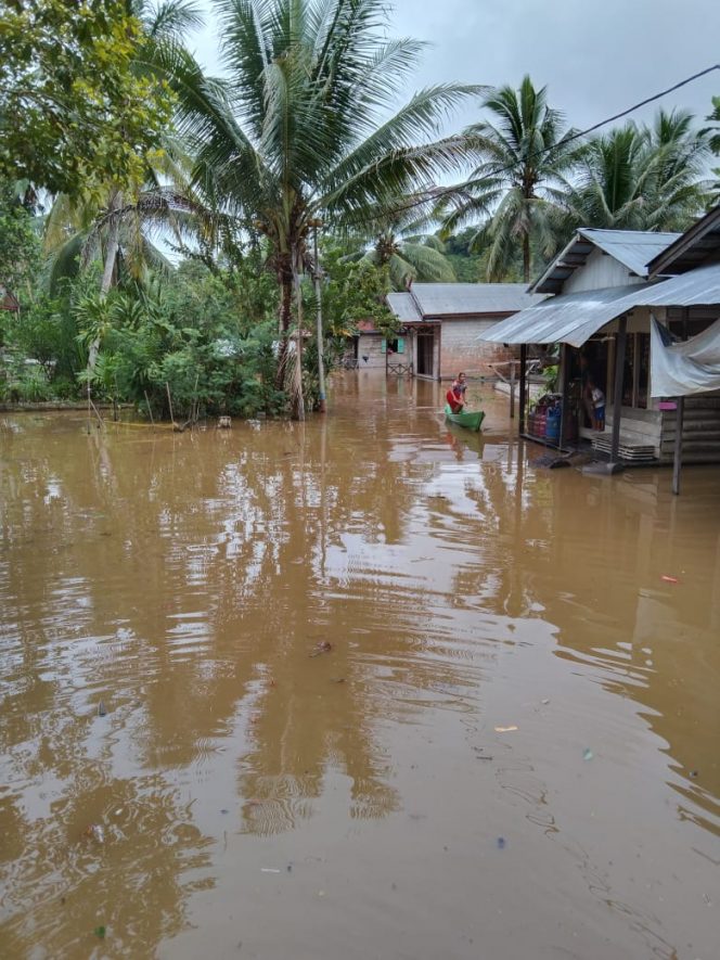 Foto : Kondisi salah satu desa di hulu Barito, Kabupaten MUrung Raya yang kembali diterjang banjir.