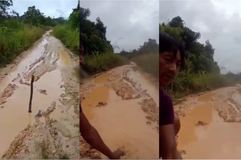 Jalan persawahan inilah yang dikeluhkan warga bernama Alamsyah dan protes minta perbaikan ia sampaikan melalui media sosil, lalu viral.