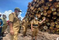 Gubernur Kalimantan Tengah, Sugianto Sabran Memeriksa Kayu Log Milik PT HPL. Foto: Antara