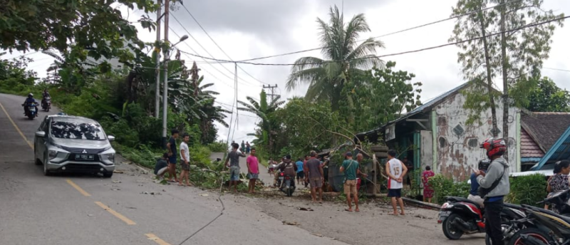 Keterangan : Akibat tak kuat menanjak truck pegangkut CPO terguling dan nyaris menghantam rumah warga. Foto. Deni Hariadi.