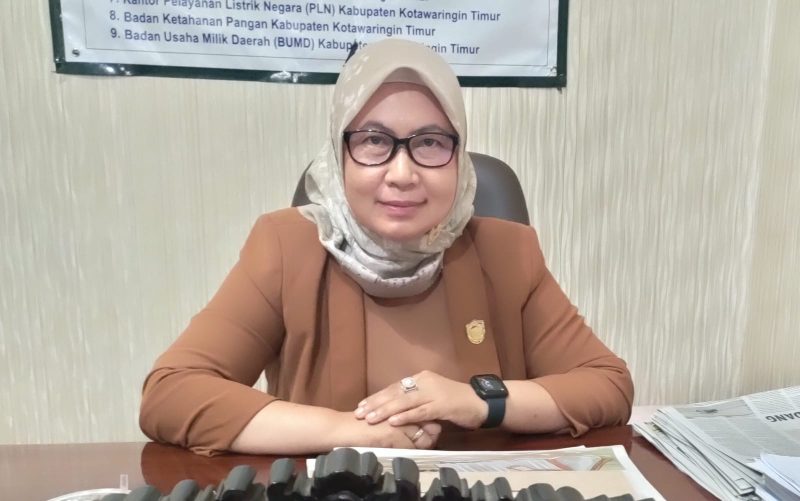 Anggota Komisi II DPRD Kotawaringin Timur, Hj Darmawati