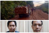 Dua pelaku ilegal logging dan barang bukti yang berhasil diamankan polisi.Foto.Humas Polres Barut/1tulah.com
