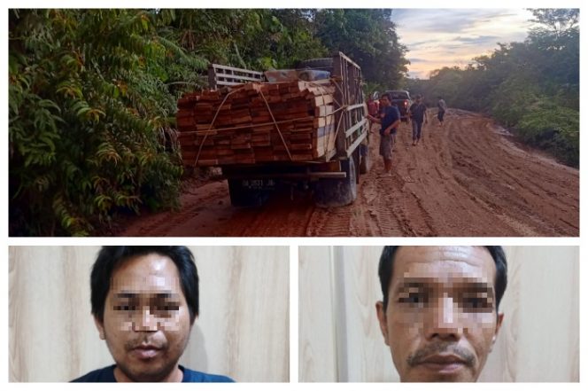 Dua pelaku ilegal logging dan barang bukti yang berhasil diamankan polisi.Foto.Humas Polres Barut/1tulah.com