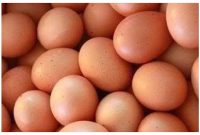 Harga teluar ayam ras di pasar tradisional Kota Muara teweh, merangkak naik.Foto.Fathurohman/1tulah.com