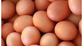 Harga teluar ayam ras di  pasar tradisional Kota Muara teweh, merangkak naik.Foto.Fathurohman/1tulah.com