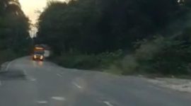 Truck melintas di jalan negara Desa Sikui dan Hajak inilah yang dipermasalahkan anggtoa DPRD Barito Utara. Mereka mempertanyakan izin lintas. Tampak gambr salh satu truck angkutan melintas di pagi hari.(Foto.Deni/1tulah.com)