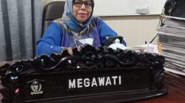 Anggota Komisi III DPRD Kabupaten Kotawaringin Timur Megawati 