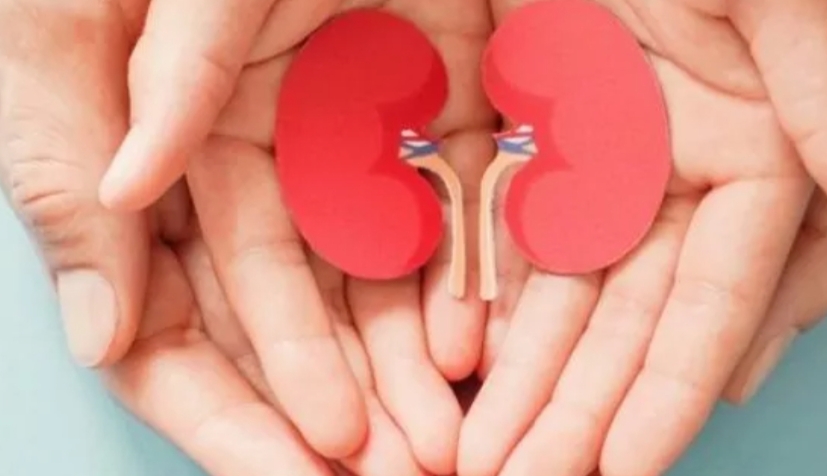 Ilustrasi gagal ginjal akut  2 anak di Sumsel alami gagal ginjal akut (Getty Images/suara.com)