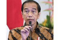 Jokowi Dodo