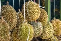 Ilustrasi buah durian dijual di pinggir jalan. [Freepik]
