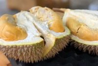 Ilustrasi:Buah Durian