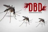Foto: Ilustrasi nyamuk Aedes Aegepti penyebab penyakit DBD.