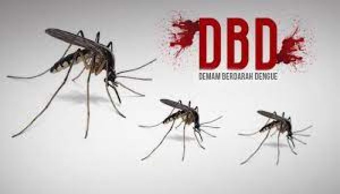 Foto: Ilustrasi nyamuk Aedes Aegepti penyebab penyakit DBD.