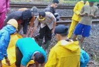 Polisi mengevakuasi jasad wanita yang tewas tertabrak KRL. Sumber foto : pmjnews.com