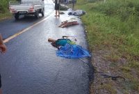 Lokasi kejadian kecelakaan di tikungan di Desa Bukit Batu, Kecamatan Mantangai, Kabupaten Kapuas, Kamis (16/3/2023)