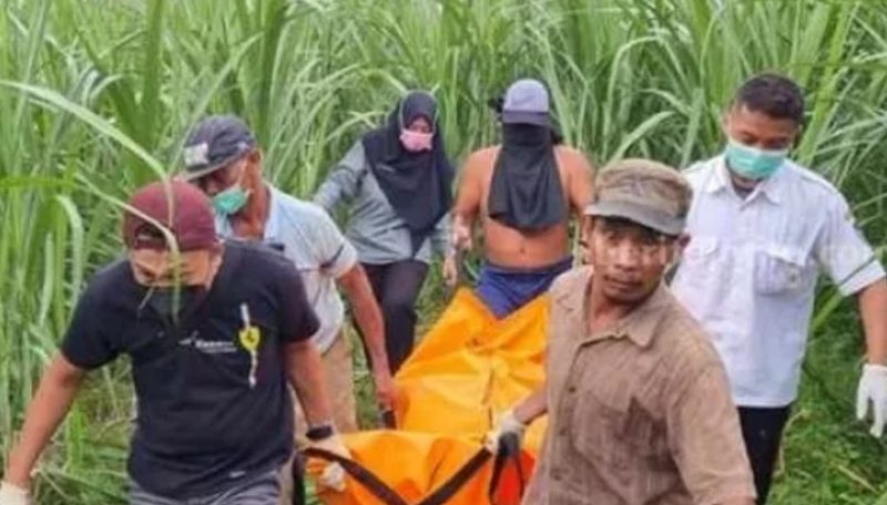 Pembunuhan wanita di tengah kebun tebu di Kediri [Foto: Beritajatim]
