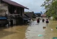 Ribuan rumah warga di Kecamatan Kapuas Tengah terendam akibat banjir yang melanda wilayah setempat. Foto:Istimewa