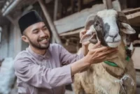 Ilustrasi Kambing Kurban - bolehkah aqiqah digabung dengan kurban. Sumber foto : suara.com
