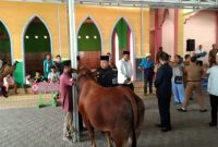 H. Deddy Winarwan, Pj. Bupati Barsel (baju hitam) saat mengikatkan hewan kurban yang disalurkan kepada pengurus PHBI Kabupaten setempat, di Buntok, Selasa (27/6/2023). 
Foto. Alifansyah/1tulah.com
