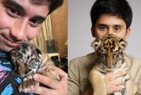 Alshad Ahmad Tangisi Anak Harimau Mati. Sumber foto : suara.com