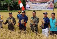 Panen Raya Padi Sawah periode Oktober-Maret (OKMAR) di Desa Tangkum, Bartim. Foto : 1tulah.com/zakirin

