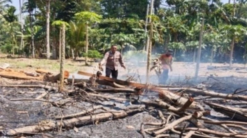 Polisi padamkan karhutla di Pesisir Barat. [ANTARA]
