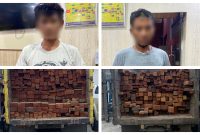 Dua pelaku ilegal logging bersama barang bukti diamankan Polisi di Muara Teweh, Jumat (1/09/2023).Foto.Deni/1tulah.com