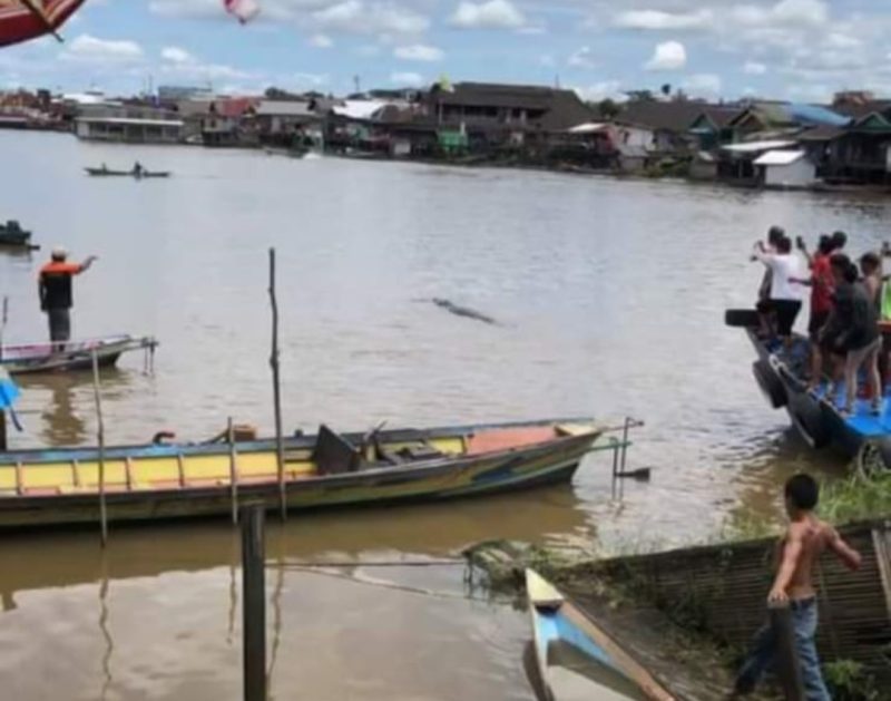 Bocah SD tewas diterkam buaya di Kobar saat mandi. (foto :Ist)