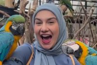 Artis Irish Bella. Sumber foto : Instagram @irishbella