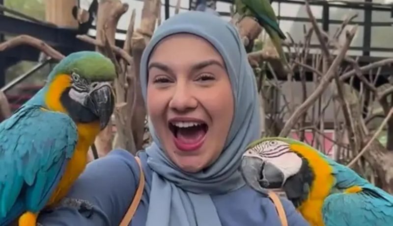 Artis Irish Bella. Sumber foto : Instagram @irishbella