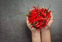 Inflasi yang capai 0,38% di November 2023, menyebabkan harga cabai semakin meninggi. (foto: freepik)