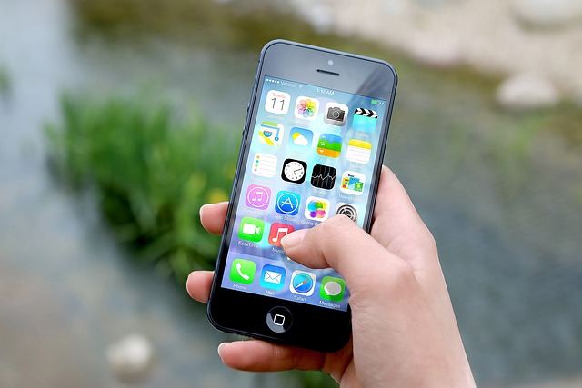 Ilustrasi iPhone (sumber: Pixabay)