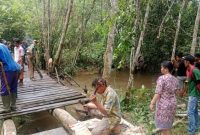 Camat Dusun Timur (Dustim), Nina Marissa (baju batik)meninjau aktivitas gotong royong untuk memperbaiki jembatan yang rusak di RT 01 Desa Matabu, Minggu (21/01/2024). Foto:Zakirin/1tulah.com