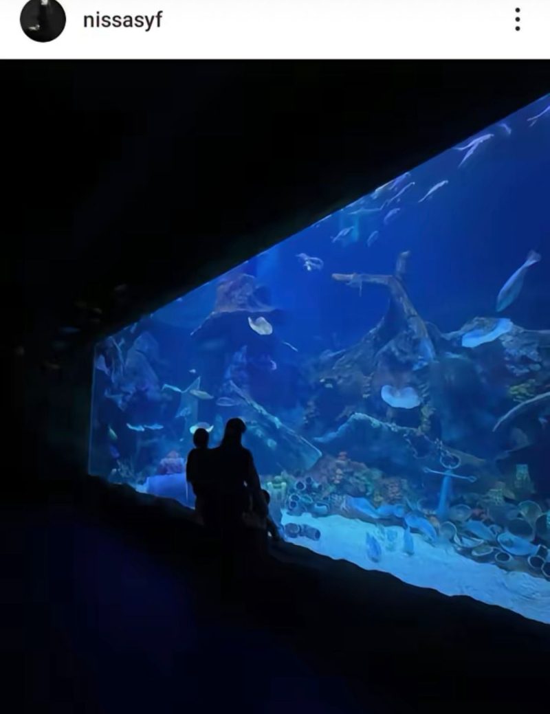 Nissa Asyifa (Sumber: Instagram nissasyf)