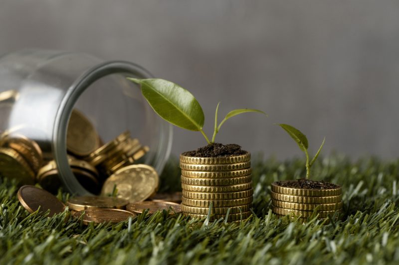 Pengertian Greenflation. (foto: freepik)
