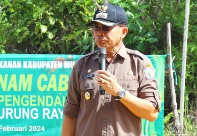Pj Bupati Murung Raya Hermon