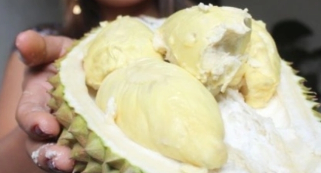 Ilustrasi buah durian