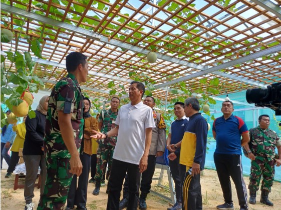 Pj. Bupati Barito Utara Drs. Muhlis, Unsur FKPD dan Kepala Perangkat Daerah Kabupaten Barito Utara saat  menghadiri panen perdana buah melon yang berlokasi di lahan kosong belakang Makodim 1013 Muara Teweh, Jumat (23/2/2024). Foto:Delia/1tulah.com