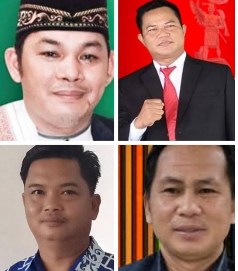 Daftar Caleg Dapi 2 Melenggang ke DPRD Murung Raya  Periode 2024-2029             