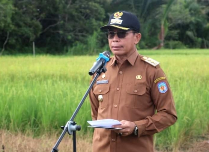 Panen Raya padi tekan laju inflasi di Murung Raya