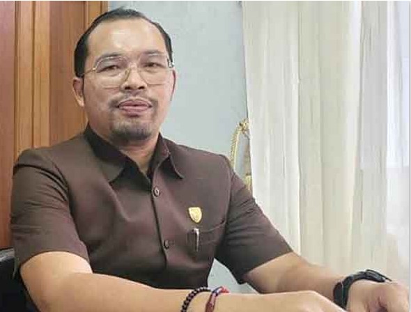 Wakil Ketua Komisi III  DPRD Kalimantan Tengah (Kalteng), Tomy Irawan Diran. Foto:Istimewa