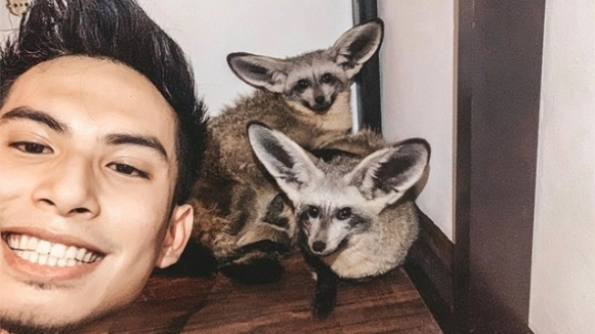 Okin dan dua fennec fox miliknya (sumber: suara.com)