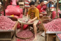 Pedagang menata barang dagangannya di Pasar Induk Kramat Jati, Jakarta, Senin (29/1/2024) (sumber: suara.com)