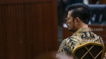 Terdakwa Syahrul yasin Limpo (sumber: suara.com)
