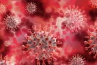 Ilustrasi Virus Corona (sumber: suara.com)