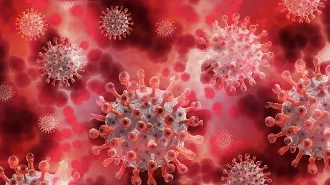 Ilustrasi Virus Corona (sumber: suara.com)
